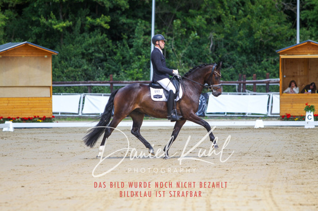 DKP45894 | Turniersportfotografie; Pferdefotografie; Dressurfotografie