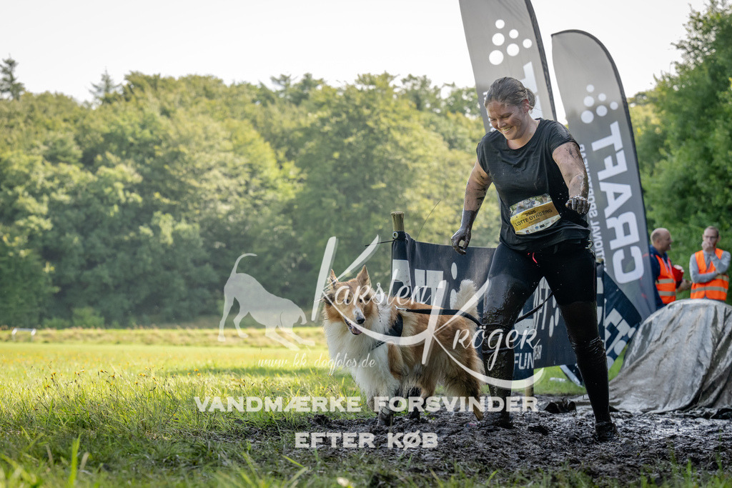 1113_ZZ93523 | kk-dogfotos