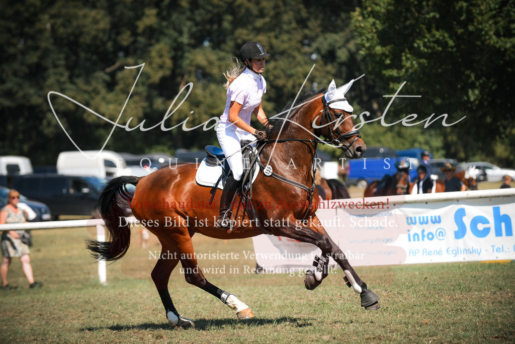 DSC_7177 | Pferde- und Turnierfotografie in Westsachsen. Pferdeportraits, Auftragszeichnungen und intuitive Kunst.