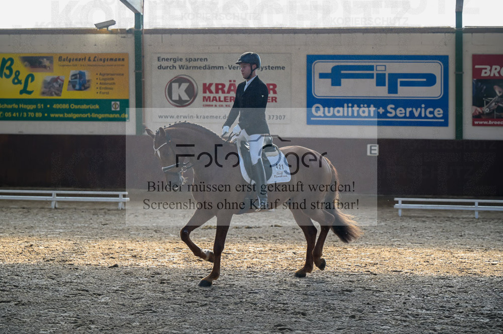 Reitturnier Voxtrup | Entdecke hochwertige Reitturnierfotos von Foto Oger. Professionell, emotional und authentisch – jetzt Lieblingsmomente im Shop bestellen.Deutschlandweite Turnierfotografie. - Realisiert mit Pictrs.com