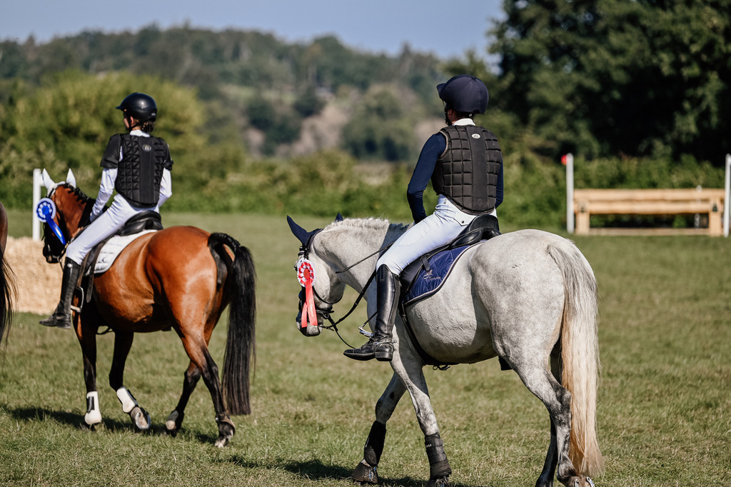 DSC_3711 | Pferde- und Turnierfotografie in Westsachsen. Pferdeportraits, Auftragszeichnungen und intuitive Kunst.