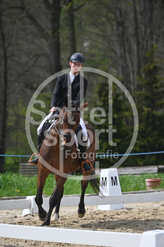 DSC_3400 | sattelsport - Realisiert mit Pictrs.com