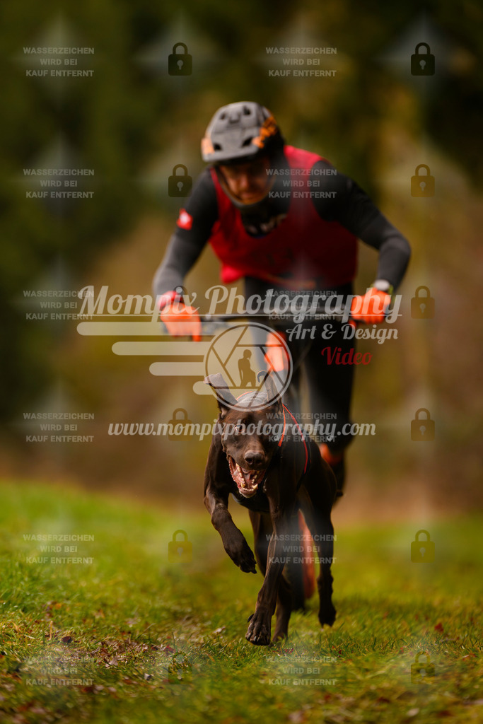 MompixPhotography_2SSTSSBW_2025_SO_Scooter-4 | PayLife
