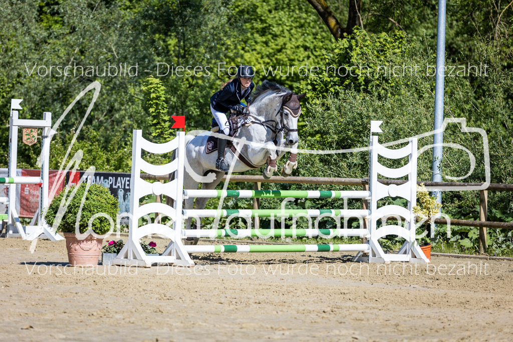 Donop24-A2Spr-107 | MomenTaufnahmen Pferdesportfotos