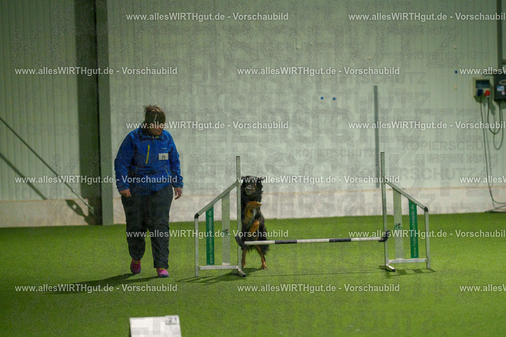 7R508725 | Professionelle Tierfotografie in Mönchengladbach von Daniel Wirth (allesWIRTHgut). Liebevolle & natürliche Bilder von Hunden & Katzen für unvergessliche Erinnerungen.