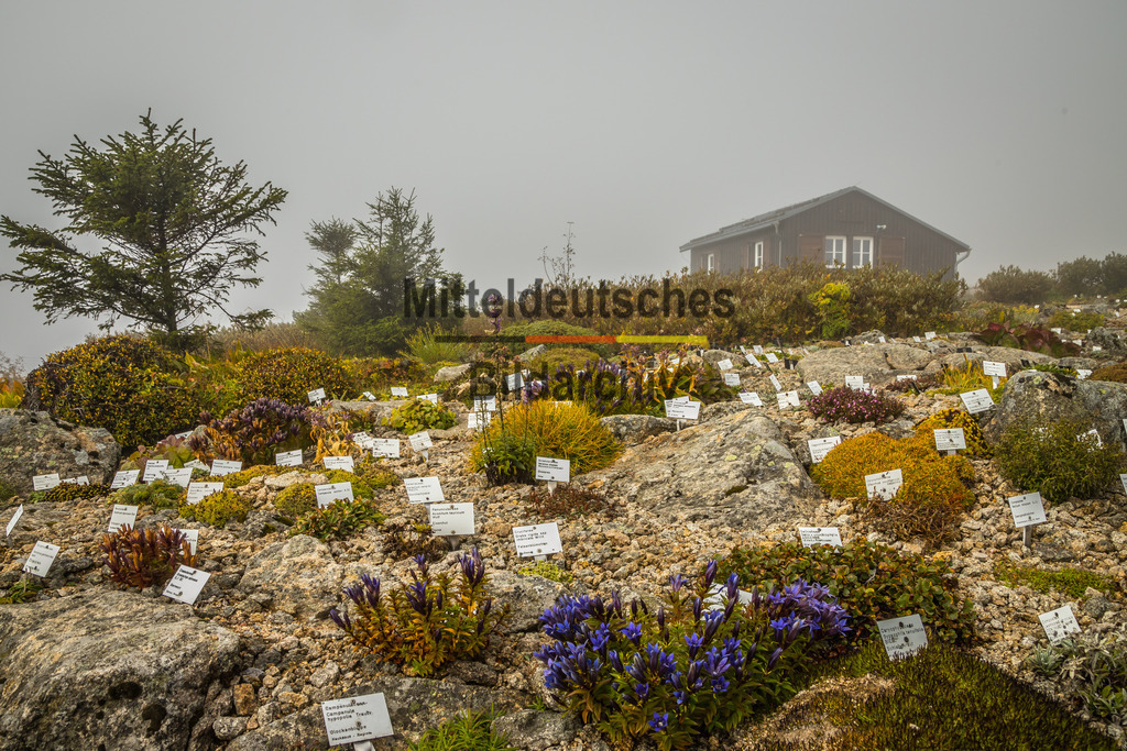 innerdeutsche Grenze Grünes Band Brocken Ilsenburg Eckerntal-9876 | Die innerdeutsche deutsch-deutsche Grenze, das Grüne Band - Realisiert mit Pictrs.com