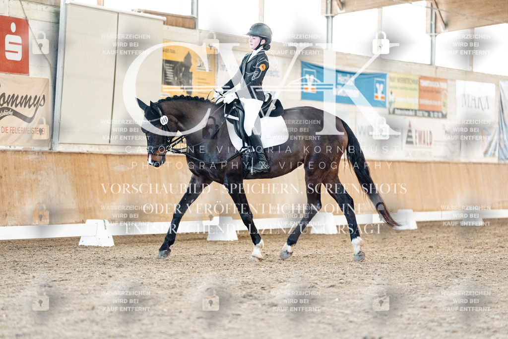 CK907216 | Turnierfotografie Pferdefotografie Trier Rheinland-Pfalz Pferdesport Reitsport Tierfotografie Sportfotografie Pferdevideo Pferdevideografie Equestrianvideography equestrianphotography  - Realisiert mit Pictrs.com