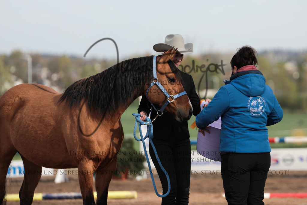 20230415-JuliaEndrejatPhotography-0093 | Julia Endrejat Photography