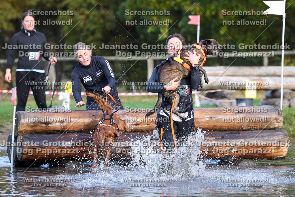 Dog Paparazzi - Strongdog 10-25-8252 | Dog Paparazzi Jeanette Grottendiek Fotografie & Videografie - Realisiert mit Pictrs.com