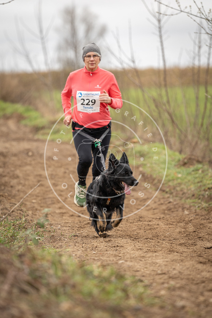 DV3A2748 | Hundefotografie, Tierfotograf, Pfotenfotografie, Fotoshooting Hund, Hunde Portrait, Hundesport, Hundeportraits, Heideshooting, Hunde, Sportfotograf, Hundefotograf, Turnierhundsport, THS,  - Realisiert mit Pictrs.com