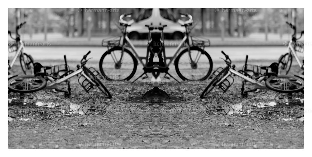 Hermann-Arts_Spiegelbilder_087 | Photo Foto Kunst Art schwarzweiss Bilder Rheine Münster Berlin Blumen 
