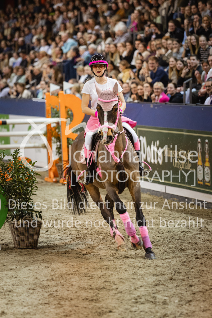 240113_Münster_Kostümspringen-413 | Deine schönsten Turniermomente als professionelle Fotos! Entdecke hochwertige Pferdesport-Fotografie im Online-Shop. Jetzt Fotos finden & bestellen!