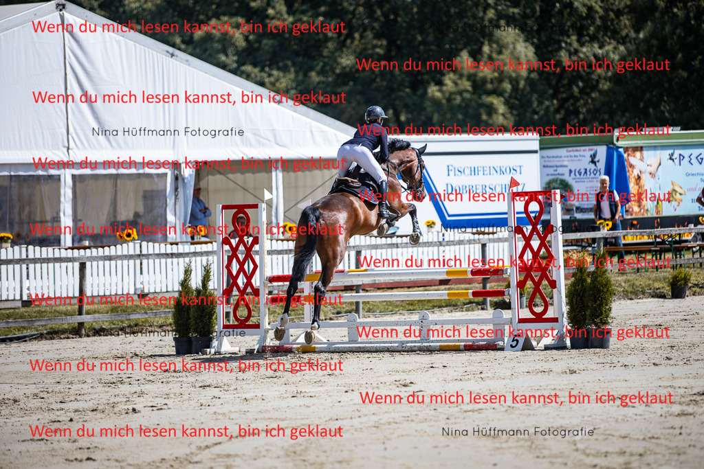 BK1A5004 | Turnierbilder Turnierfotos Nina Hüffmann Turnierfotografie Pferdefotografie Tierzeichnung Haustierzeichnung Pferdezeichnung Hundezeichnung Videograf  - Realisiert mit Pictrs.com