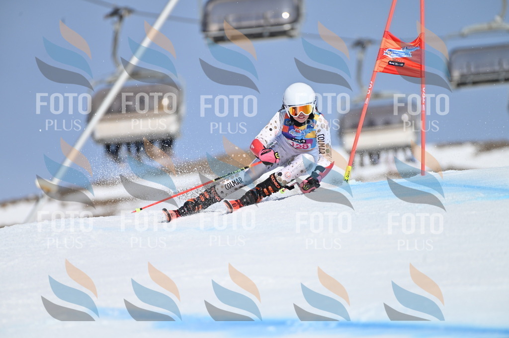 BGV_9942 | holidayphoto