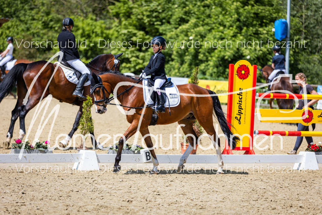 Donop24-RWB-042 | MomenTaufnahmen Pferdesportfotos