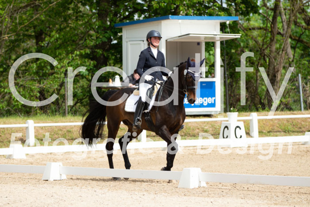 IMG_6956 | Creatify Fotografie