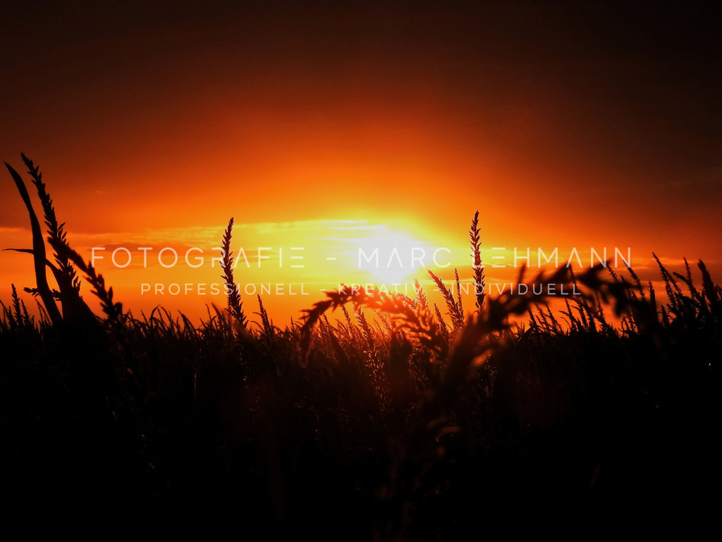 Sonnenuntergang über Weizenfeld | Sonnenuntergang über Weizenfeld - Realisiert mit Pictrs.com