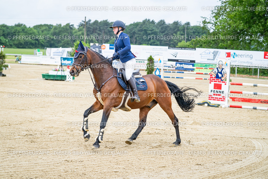 DSC03308 | Pferdegrafie