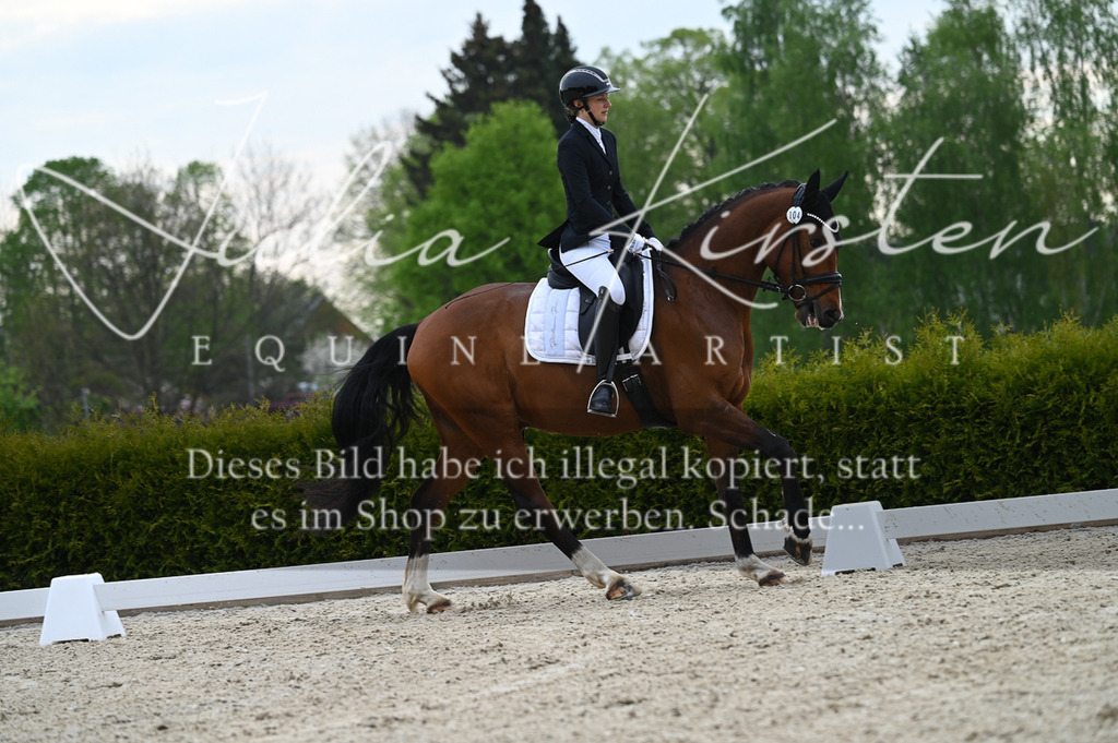 20230512_JK-Röhrsdorf-02-153 | Pferde- und Turnierfotografie in Westsachsen. Pferdeportraits, Auftragszeichnungen und intuitive Kunst.