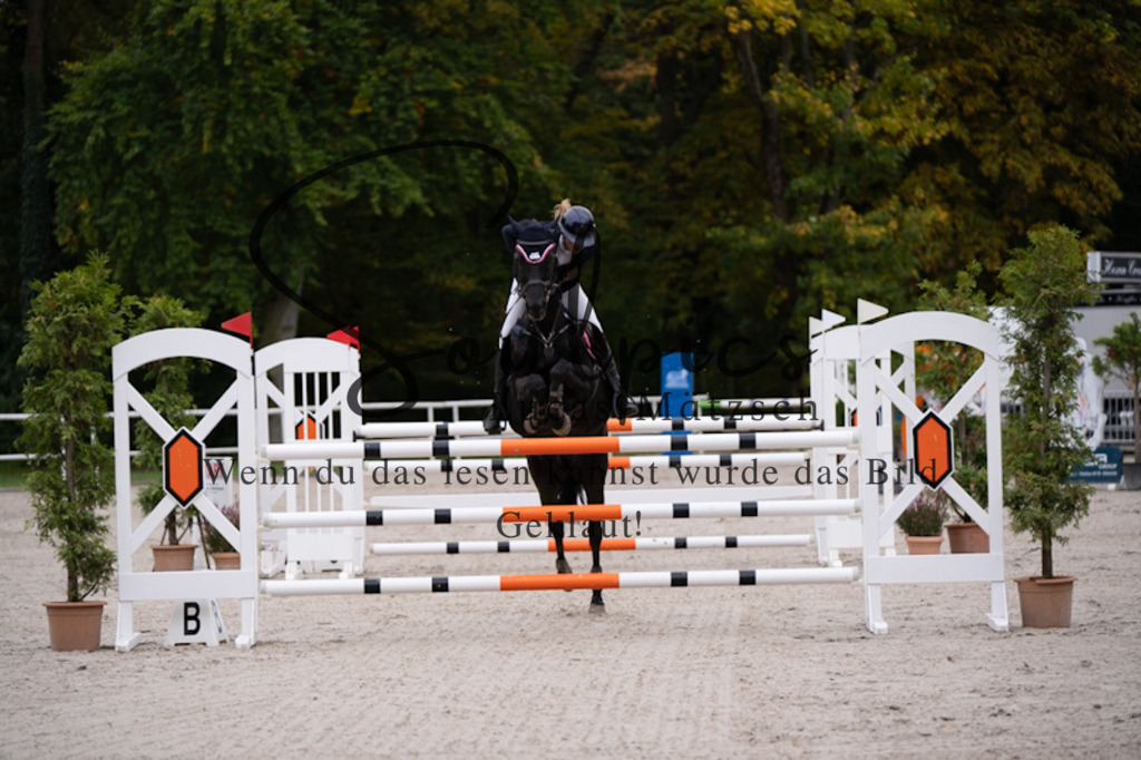 A7V01018 | Pferdefotograf