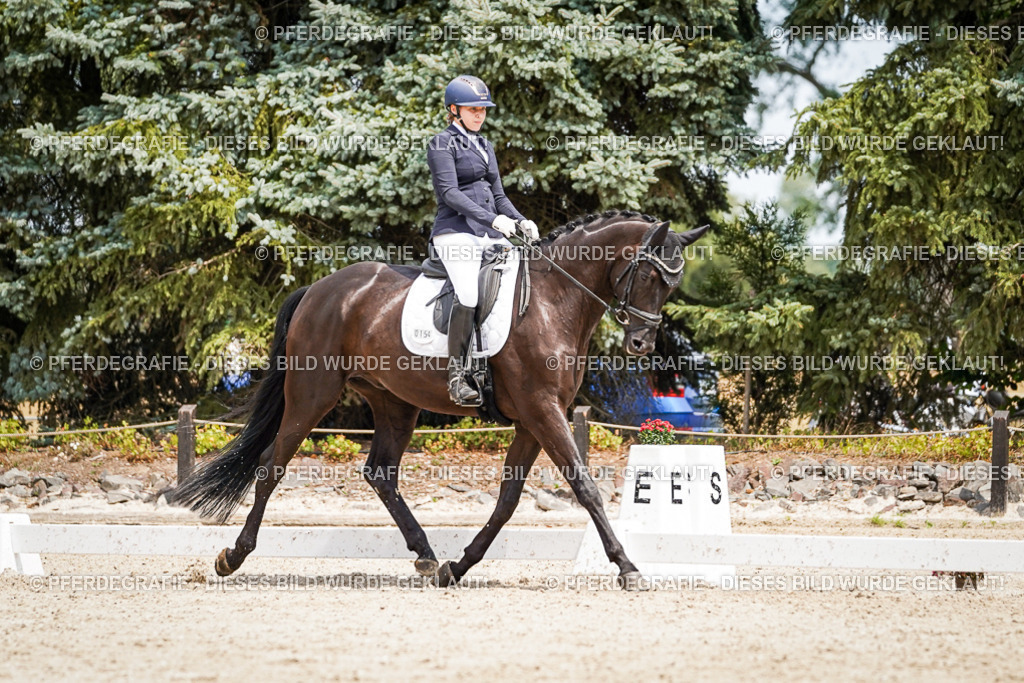 DSC03516 | Pferdegrafie