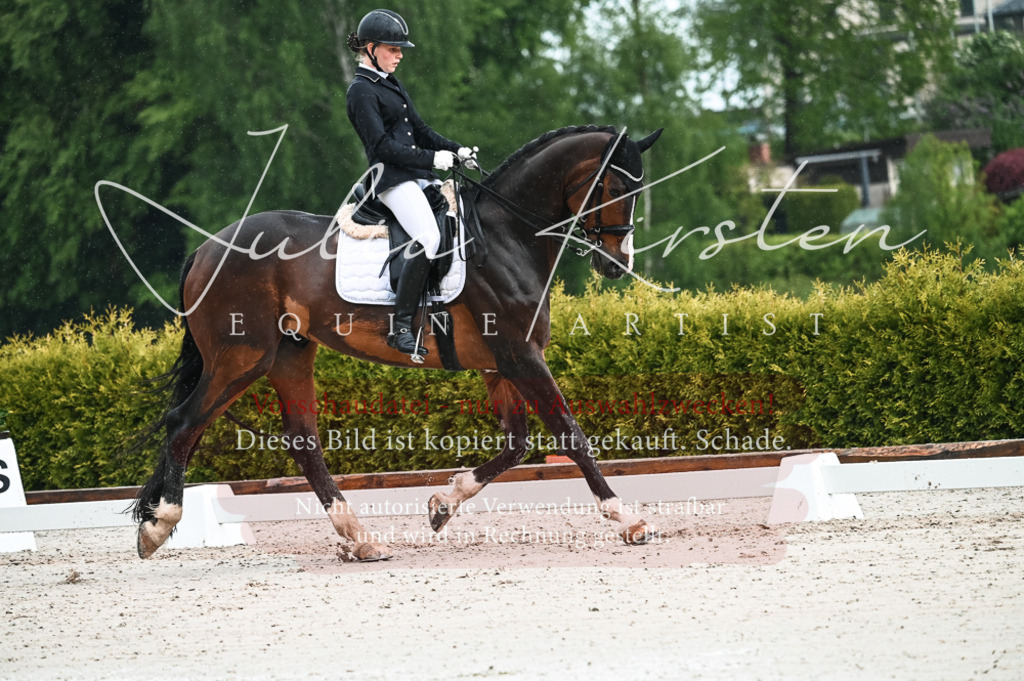 DSC_4150 | Pferde- und Turnierfotografie in Westsachsen. Pferdeportraits, Auftragszeichnungen und intuitive Kunst.