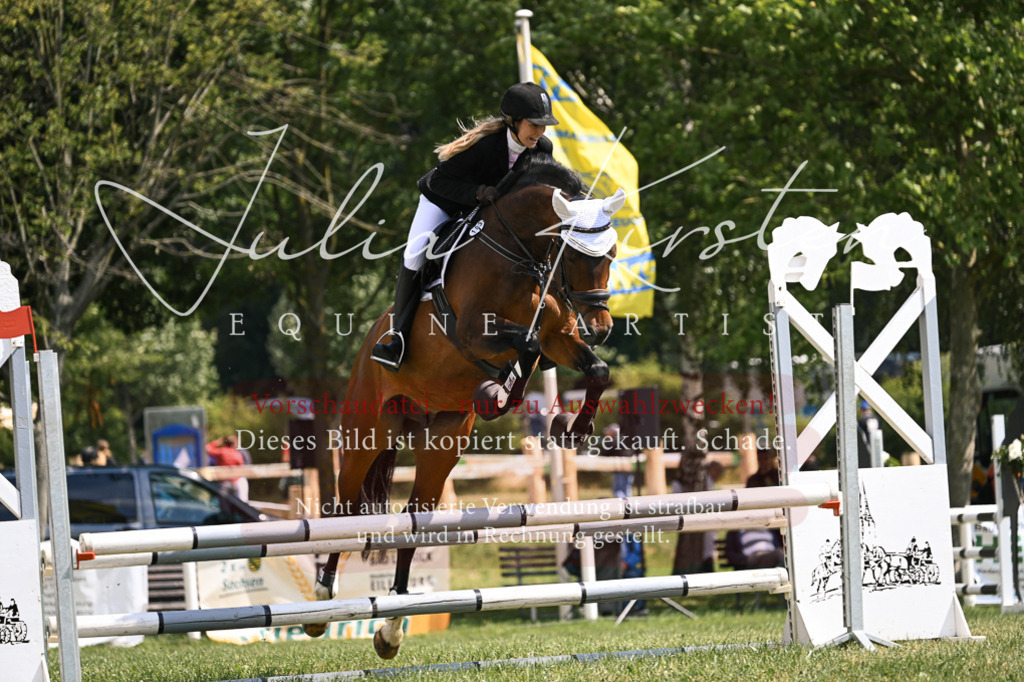 DSC_9018 | Pferde- und Turnierfotografie in Westsachsen. Pferdeportraits, Auftragszeichnungen und intuitive Kunst.