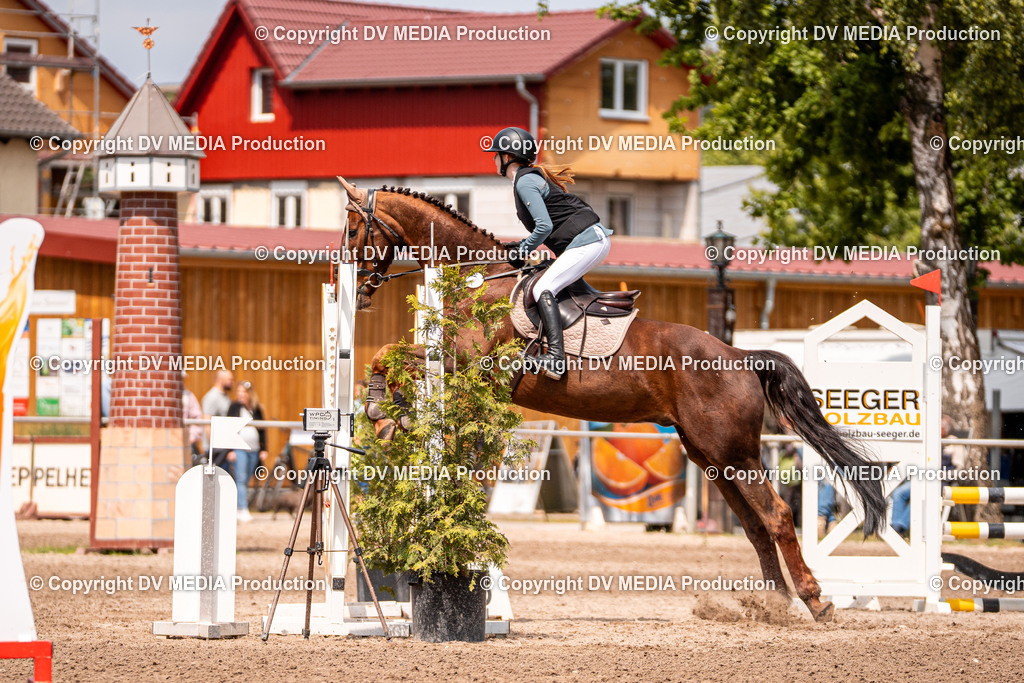 Eppelheim Tag 3-503 | dv-media-shop - Realisiert mit Pictrs.com