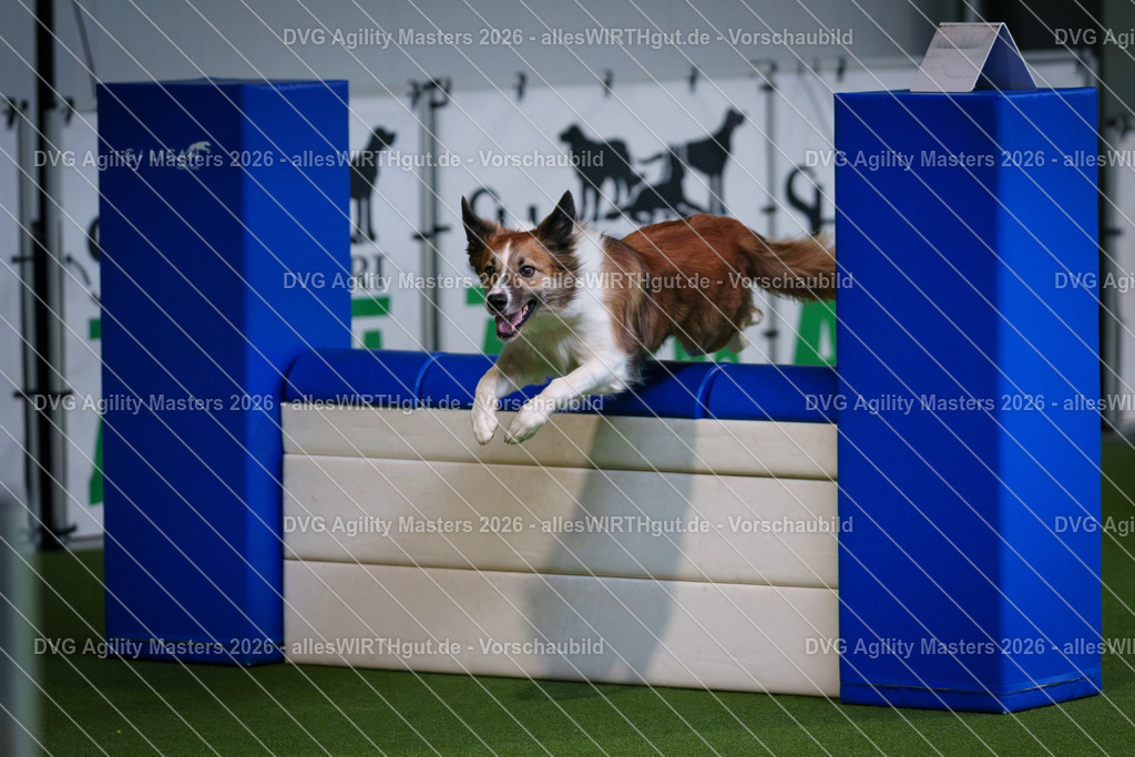 allesWIRTHgut_Tierfotografie-DVG_Agility_Masters_2026-09_23-7R501567 | Professionelle Tierfotografie in Mönchengladbach von Daniel Wirth (allesWIRTHgut). Liebevolle & natürliche Bilder von Hunden & Katzen für unvergessliche Erinnerungen.