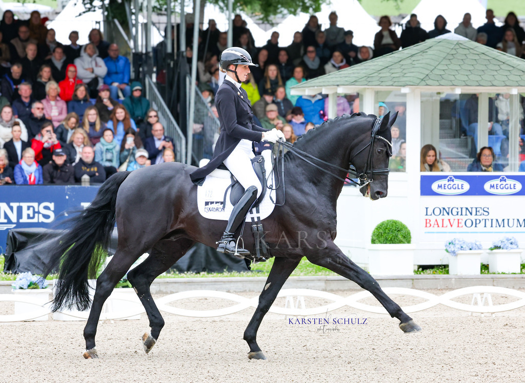 1B3A7304 | Reitsport Reiten