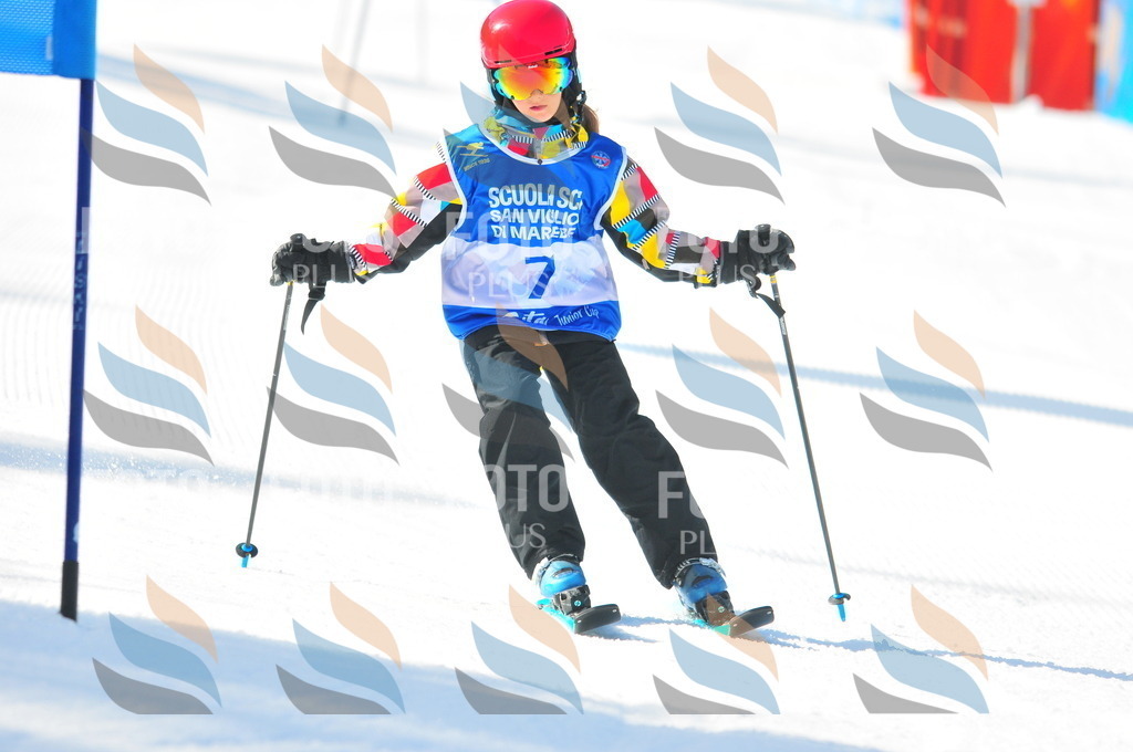 B8991 | holidayphoto