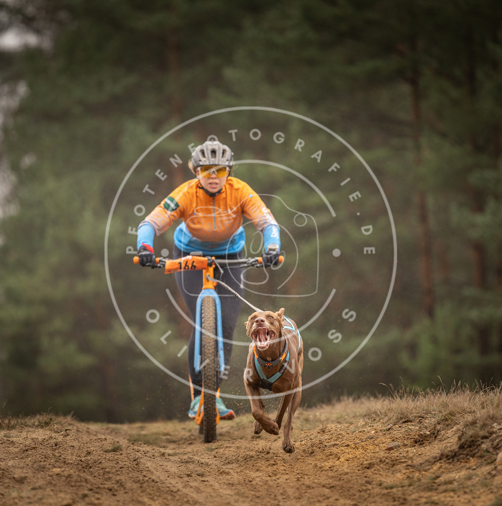 Pfotenfotografie_DV3A4403 | Hundefotografie, Tierfotograf, Pfotenfotografie, Fotoshooting Hund, Hunde Portrait, Hundesport, Hundeportraits, Heideshooting, Hunde, Sportfotograf, Hundefotograf, Turnierhundsport, THS,  - Realisiert mit Pictrs.com