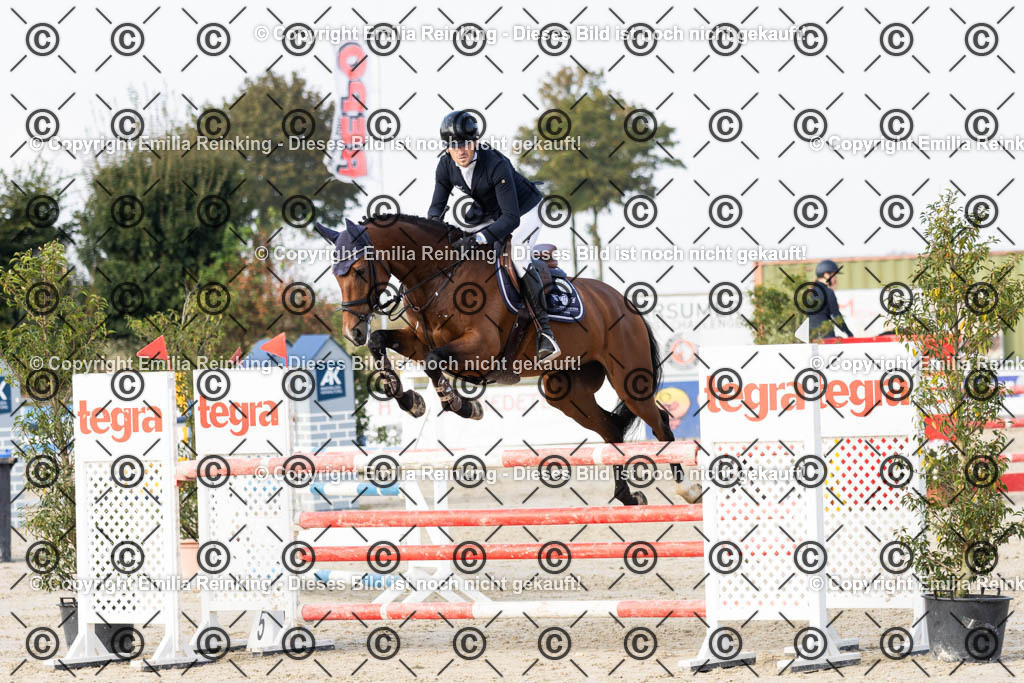 CL5A5219 | Emilia Reinking Fotografie - Realisiert mit Pictrs.com