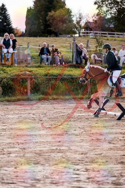 2026_10_03_Siefer-Hof_145457_Z81_35295606 | Professionelle Reitsport-, Turnier- und Eventfotografie von Robert Broda. Galerien mit ausgewählten und bearbeiteten Bildern direkt online ansehen und bestellen.