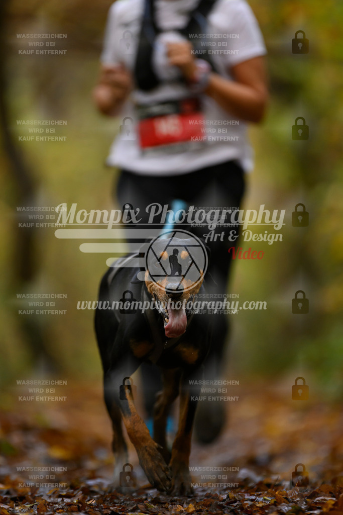 MompixPhotography_CD7S_DI_CCL-149 | mompixphotography