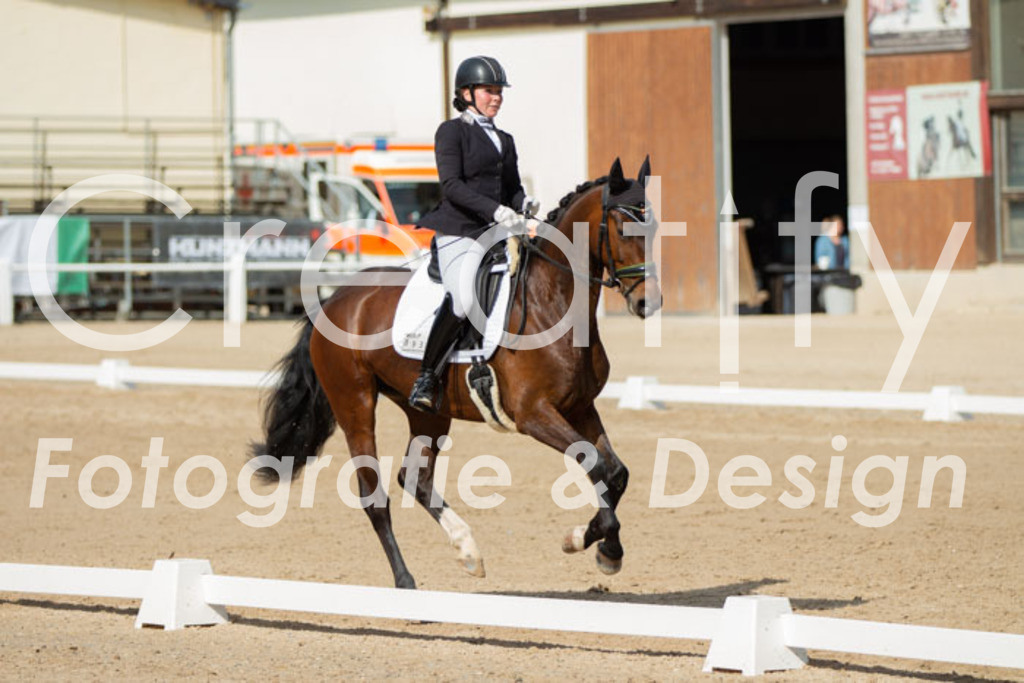 IMG_1164 | Creatify Fotografie