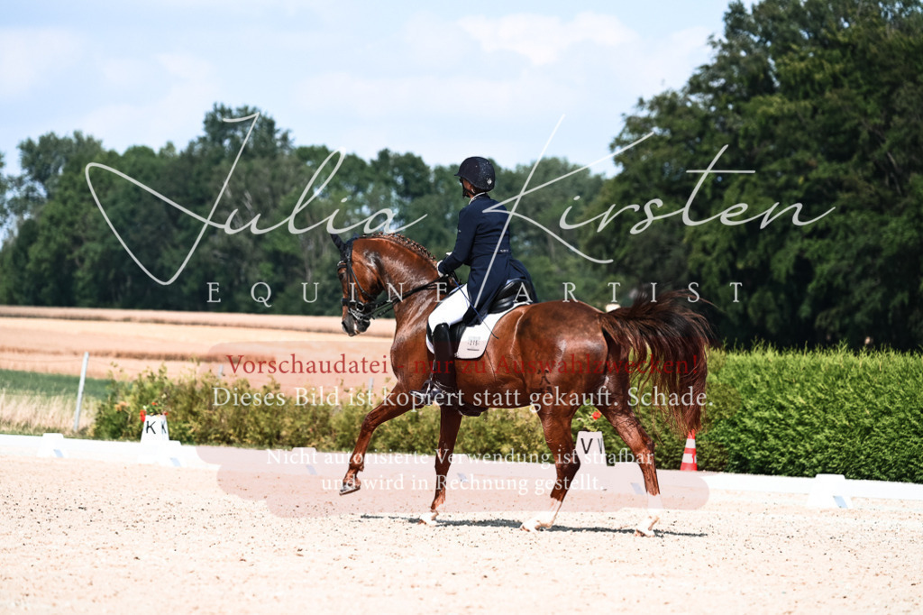 DSC_3219 | Pferde- und Turnierfotografie in Westsachsen. Pferdeportraits, Auftragszeichnungen und intuitive Kunst.