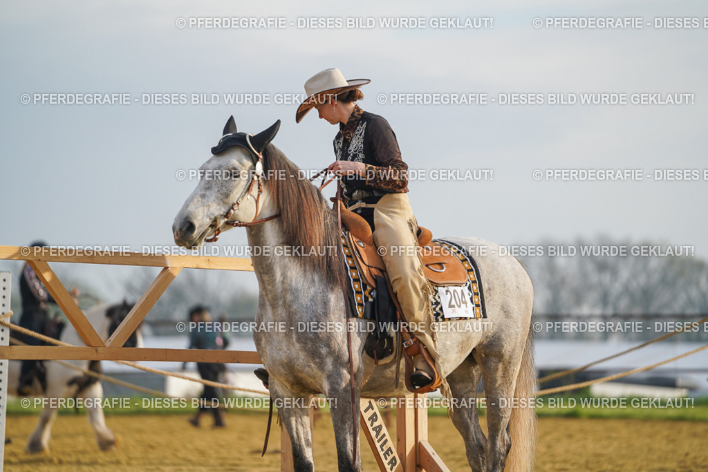 DSC09675 | Pferdegrafie
