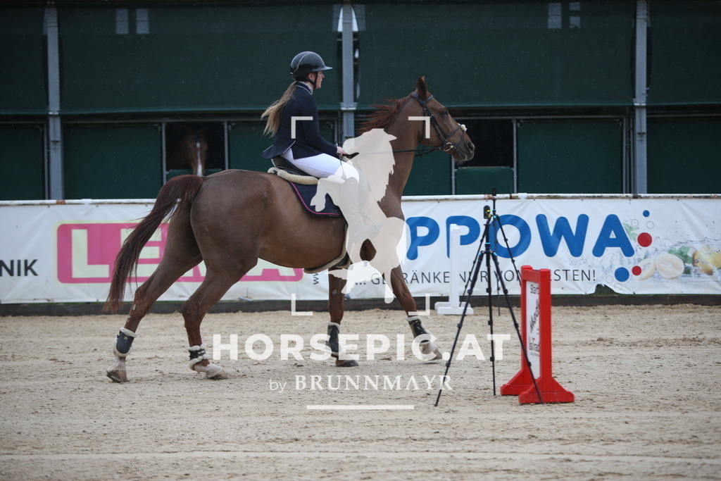 AS8V8988 | Willkommen bei Brunnmayr - Design & Fotografie – Ihrem Spezialisten für Reitturniere und Pferdeveranstaltungen in Oberösterreich, Salzburg und Bayern! Seit über 17 Jahren sind wir leidenschaftlich dabei.