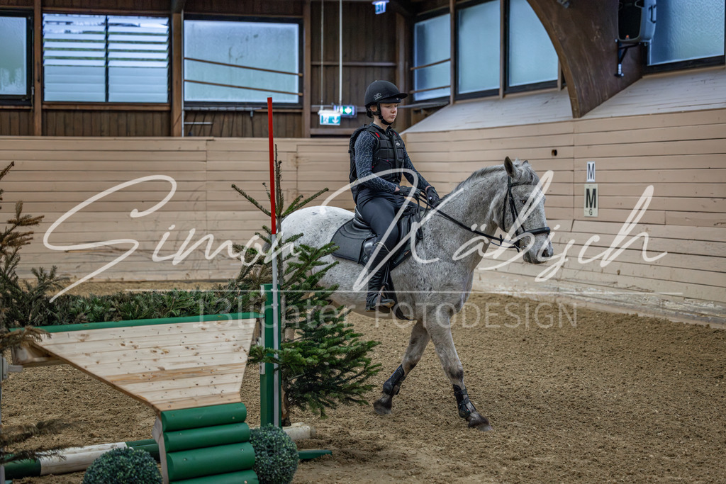 20260222-_3LI0631 | Tierfotografie Pferde, Hunde, Katzen, Haustiere.
Turnierfotografie Reitturniere, Reiten, Springreiten, Dressur in Hanau, dem Main-Kinzig-Kreis und dem Rhein-Main- Gebiet um Frankfurt