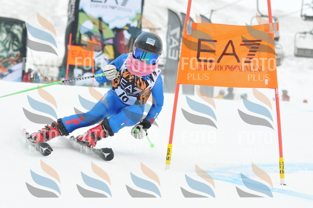 DSC_8787 | holidayphoto