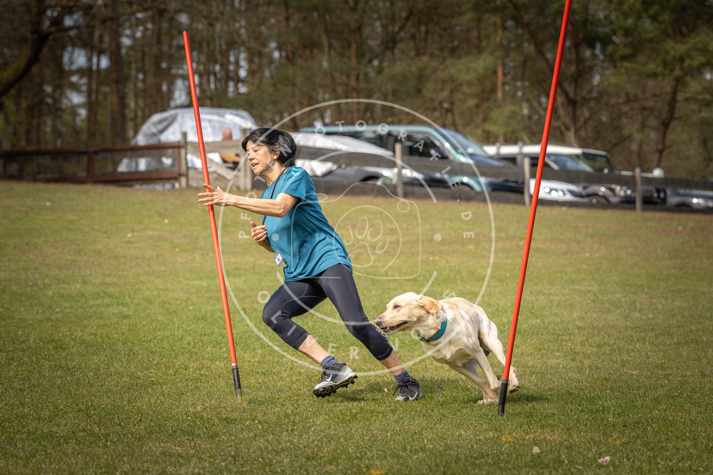 Pfotenfotografie_DV3A7291 | Hundefotografie, Tierfotograf, Pfotenfotografie, Fotoshooting Hund, Hunde Portrait, Hundesport, Hundeportraits, Heideshooting, Hunde, Sportfotograf, Hundefotograf, Turnierhundsport, THS,  - Realisiert mit Pictrs.com