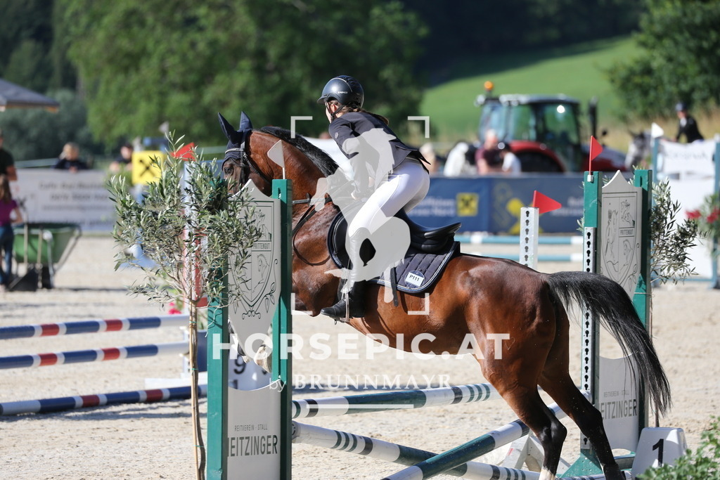 PP016305 | Willkommen bei Brunnmayr - Design & Fotografie – Ihrem Spezialisten für Reitturniere und Pferdeveranstaltungen in Oberösterreich, Salzburg und Bayern! Seit über 17 Jahren sind wir leidenschaftlich dabei.