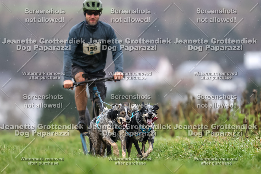 Dog Paparazzi - Herkules Race  2025-50 | Dog Paparazzi Jeanette Grottendiek Fotografie & Videografie