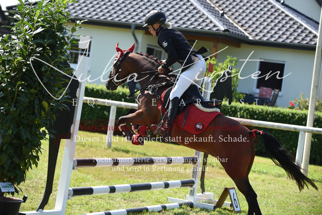 DSC_9275 | Pferde- und Turnierfotografie in Westsachsen. Pferdeportraits, Auftragszeichnungen und intuitive Kunst.