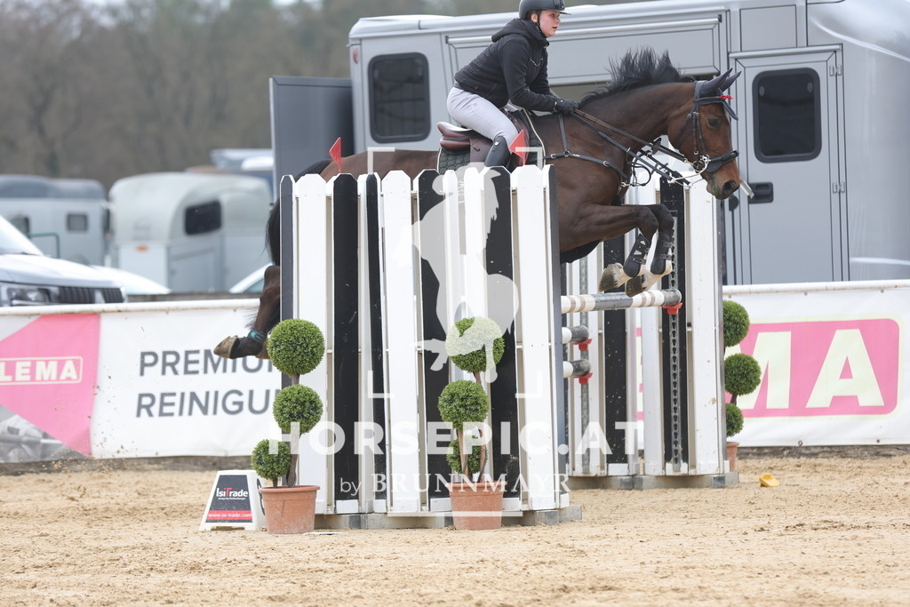 0P6A4763 | Willkommen bei Brunnmayr - Design & Fotografie – Ihrem Spezialisten für Reitturniere und Pferdeveranstaltungen in Oberösterreich, Salzburg und Bayern! Seit über 17 Jahren sind wir leidenschaftlich dabei.