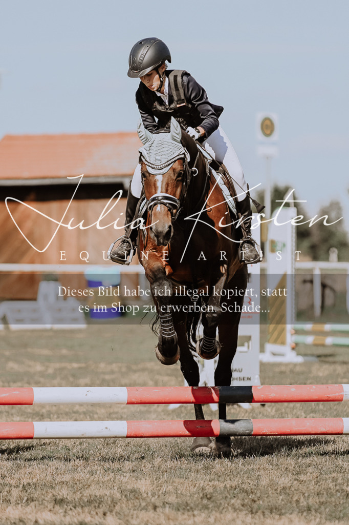 DSC_9407 | Pferde- und Turnierfotografie in Westsachsen. Pferdeportraits, Auftragszeichnungen und intuitive Kunst.
