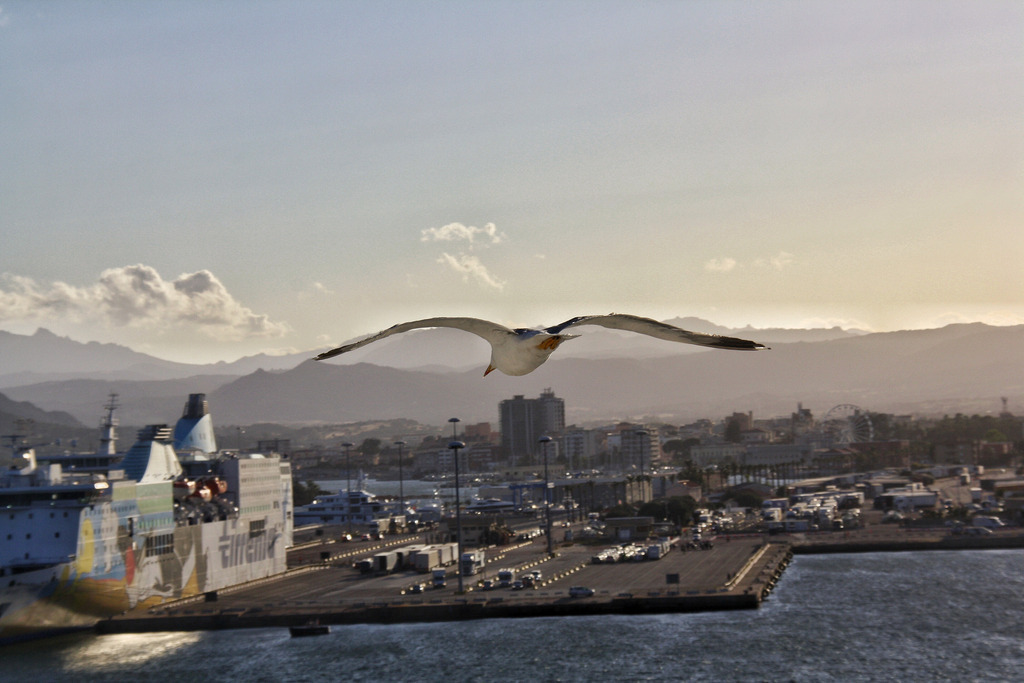 IMG_6225 | <meta name="keywords" content="Bergbilder, Hochzeitsfotografie, Actionshootings, Fotografiearbeiten, Berglandschaften, Naturfotografie">

 - Realisiert mit Pictrs.com