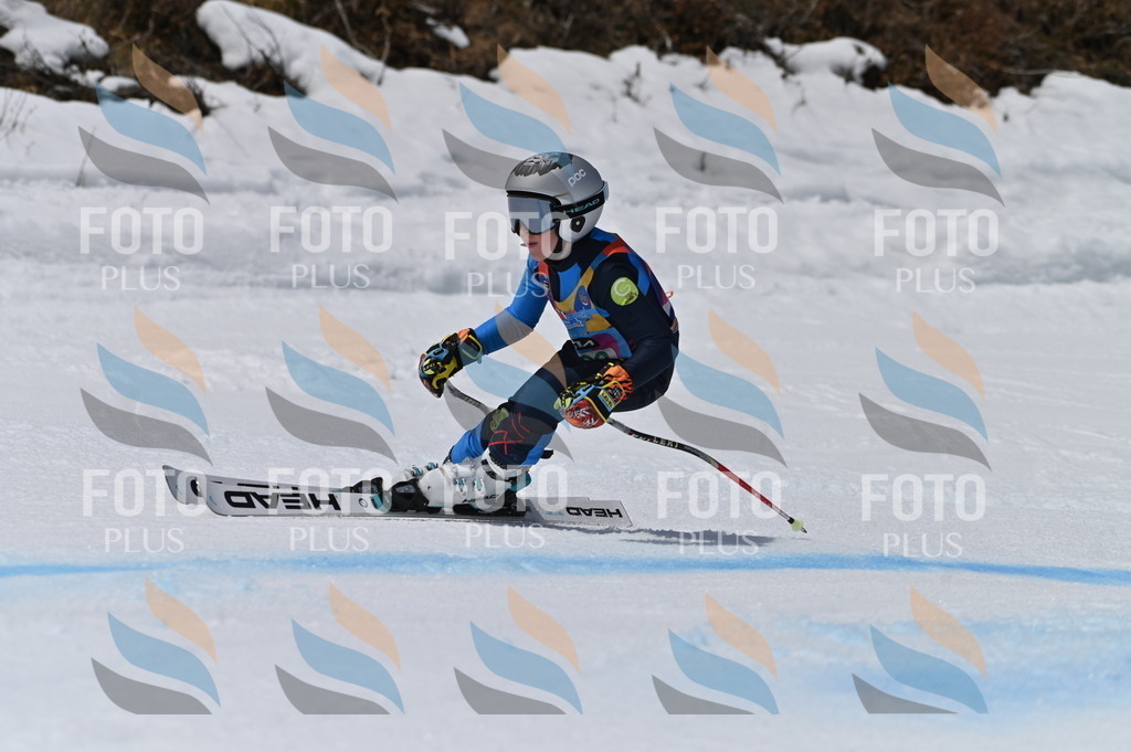 BGV_6398 | holidayphoto