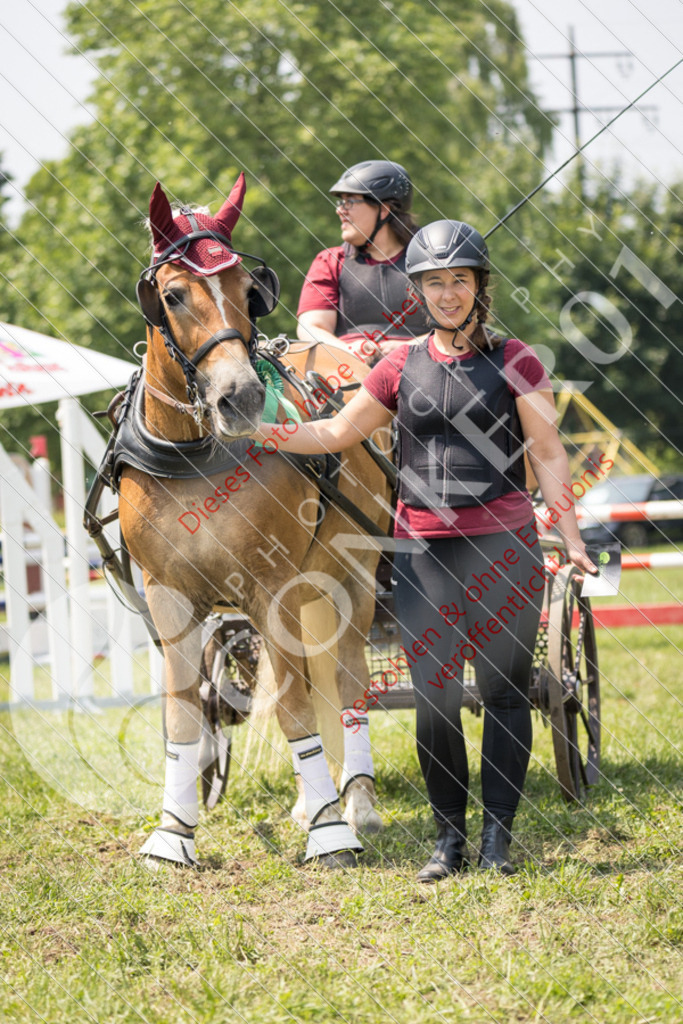 IMG_9240 | Sport-, Event- und Tierfotos in Profiqualität. Einfach auswählen, bestellen und herunterladen. Dein Moment – perfekt festgehalten.